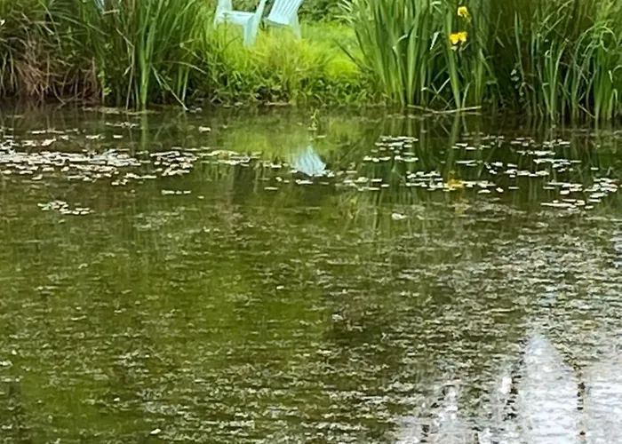 Les Rives Du Lay Charette بيت للعطل Le Boupère