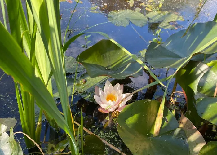 Les Rives Du Lay Charette