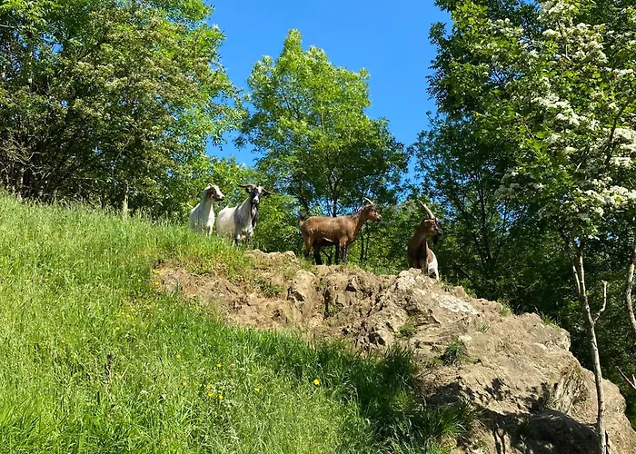 Les Rives Du Lay Charette *